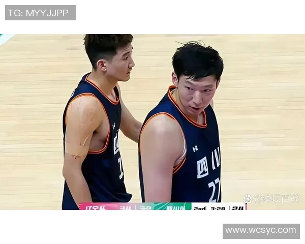 2019年1月19日辽宁队与四川队精彩对决回顾及赛后分析 2019年1月19日辽宁队与四川队精彩对决回顾及赛后分析