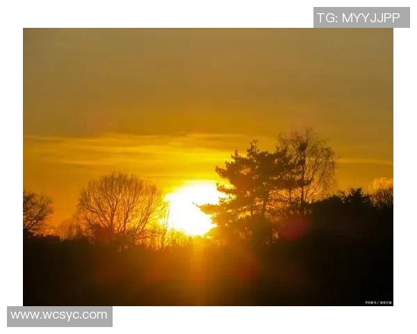 林水镜下的岁月流转与心灵映照之旅