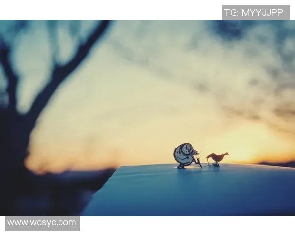 何思雨：在风雨中绽放的坚韧与梦想的追寻之旅